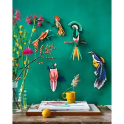 Paradise Bird Rani