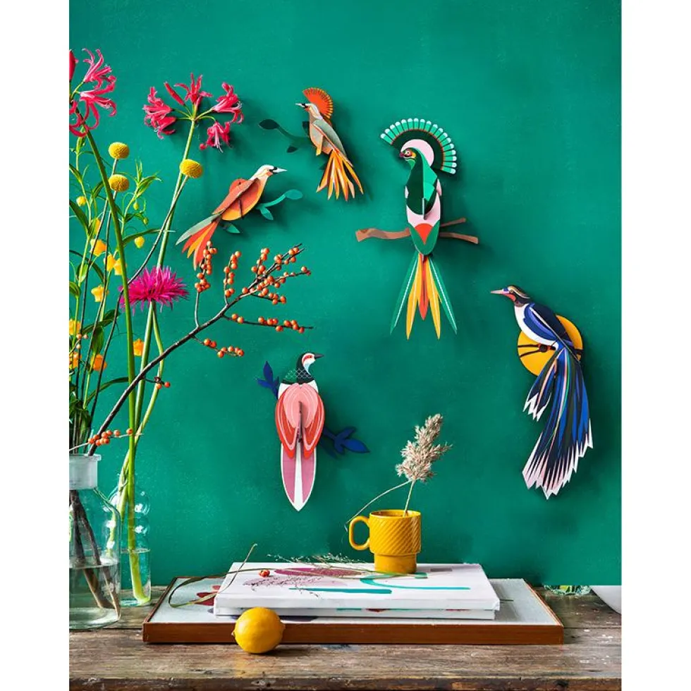 Paradise Bird Rani