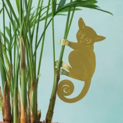 Plant Animal Bush Baby