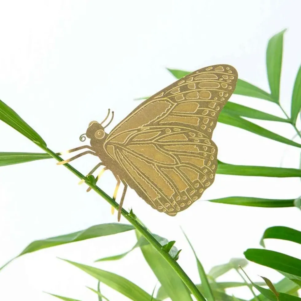 Plant Animal Butterfly