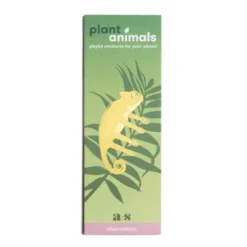 Plant Animal Chameleon