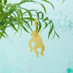 Plant Animal Chimpanzee