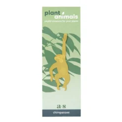 Plant Animal Chimpanzee