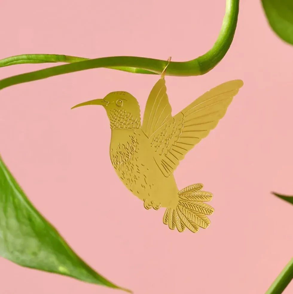 Plant Animal Hummingbird