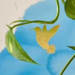 Plant Animal Hummingbird