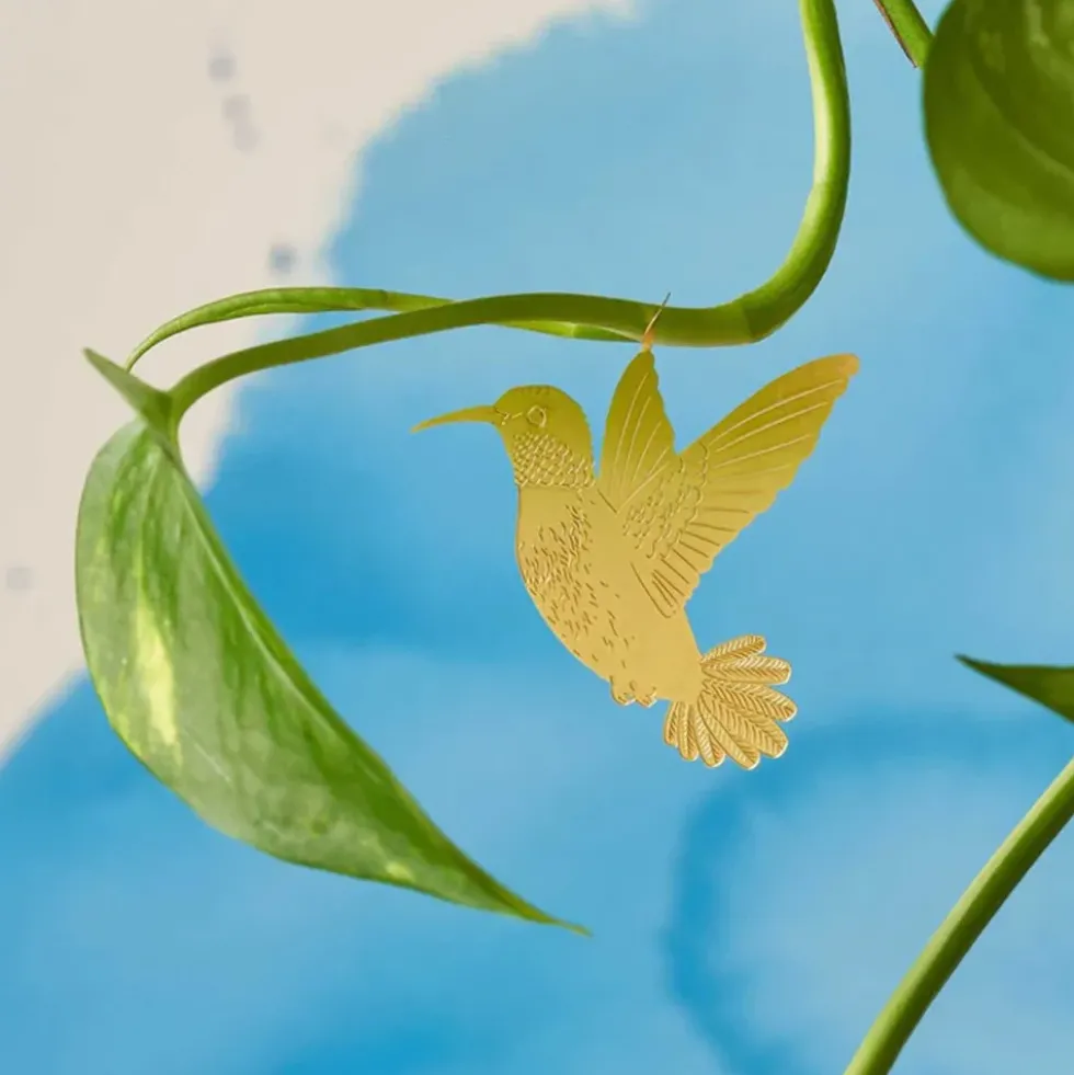 Plant Animal Hummingbird