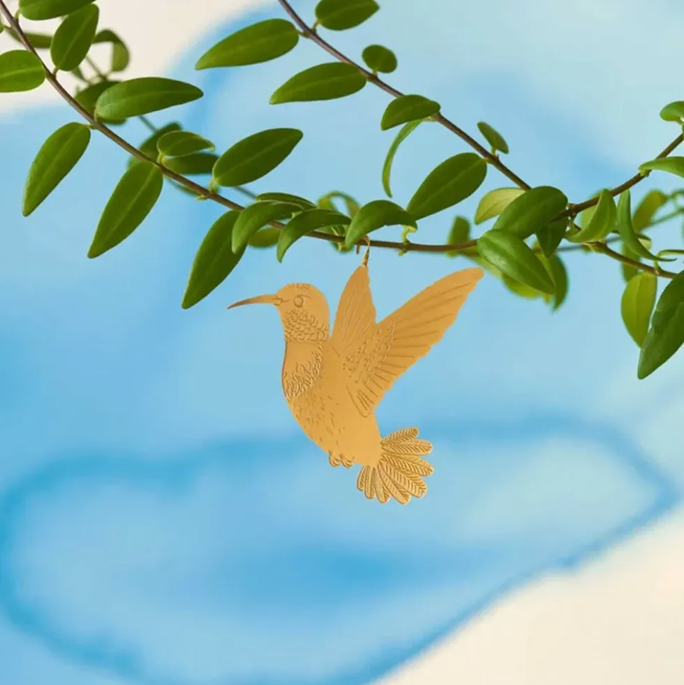 Plant Animal Hummingbird