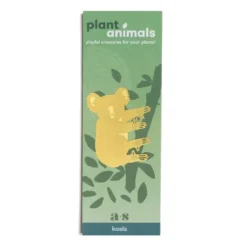 Plant Animal Koala