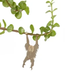Plant Animal Orangutan