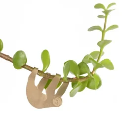 Plant Animal Sloth