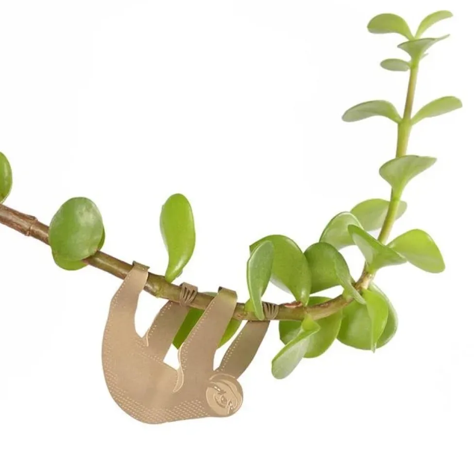 Plant Animal Sloth
