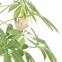 Plant Animal Sloth