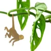 Plant Animal Spider Monkey