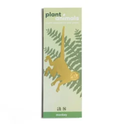 Plant Animal Spider Monkey