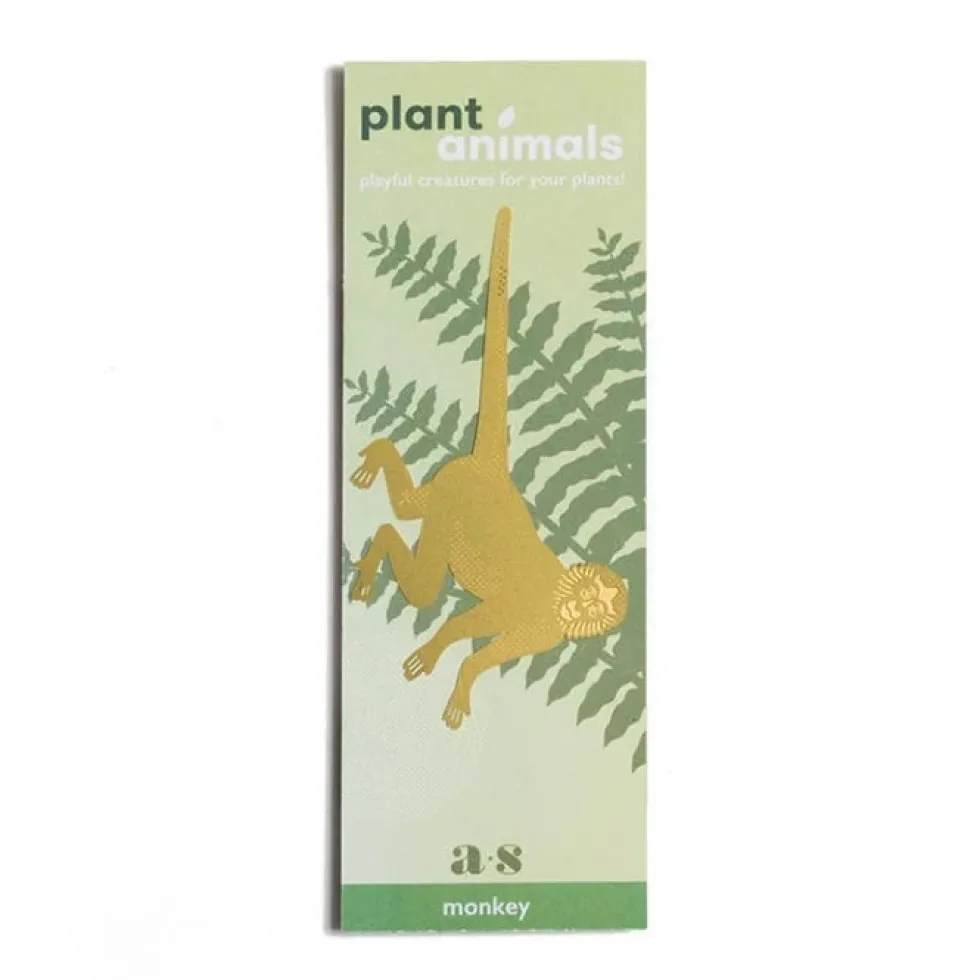 Plant Animal Spider Monkey