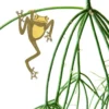 Plant Animal Tree Frog