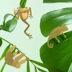 Plant Animal Tree Frog