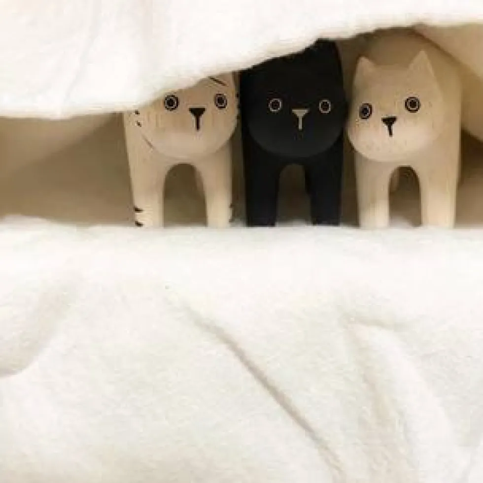Pole Pole Wooden Animal Black Cat