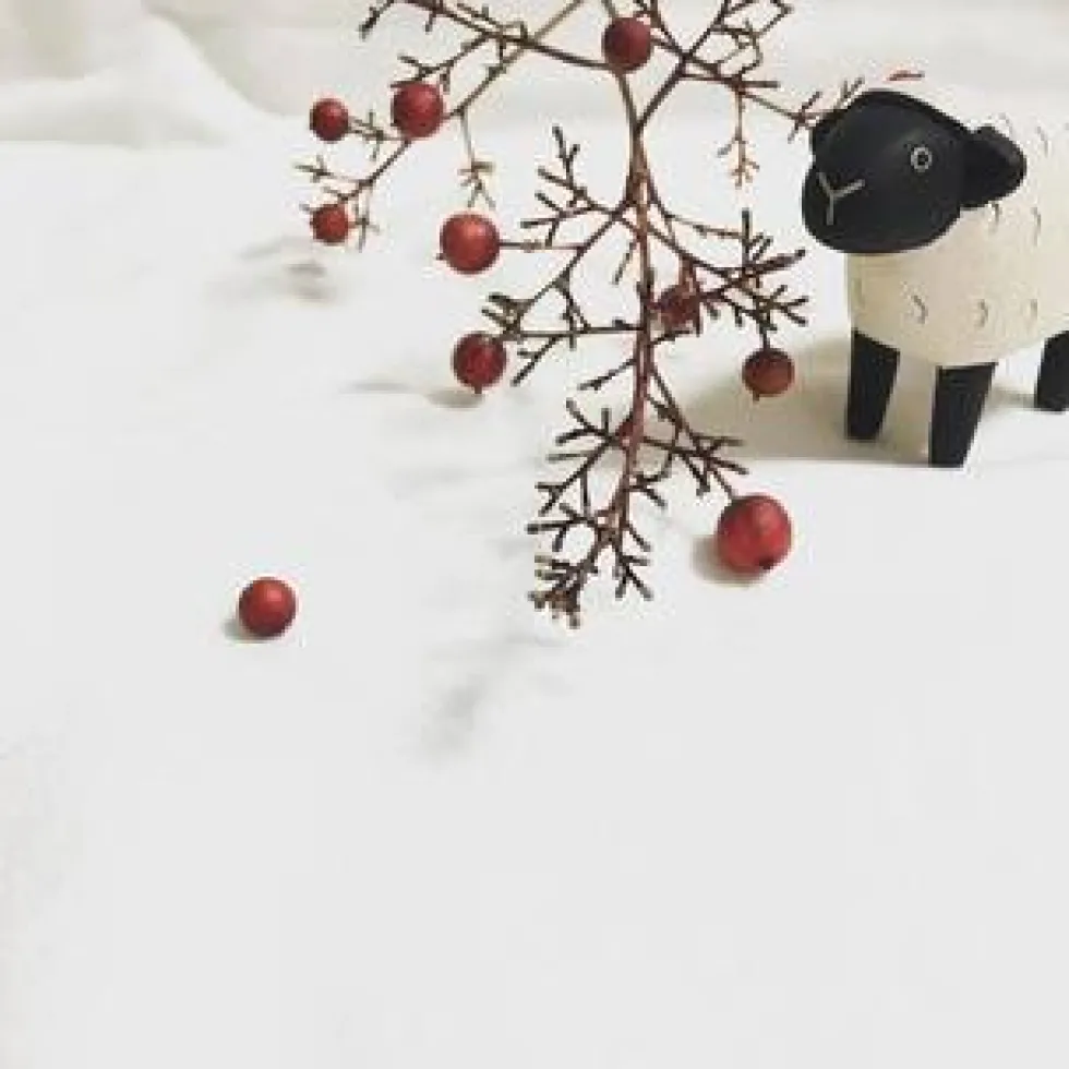 Pole Pole Wooden Animal Sheep