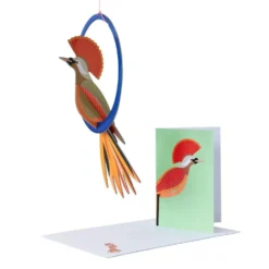 Pop out cards - Crowned Obi