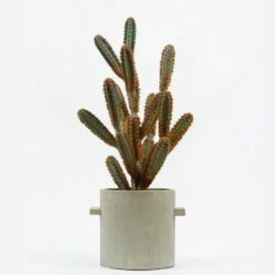 Pot Concrete Rond Naturel XL 25x25