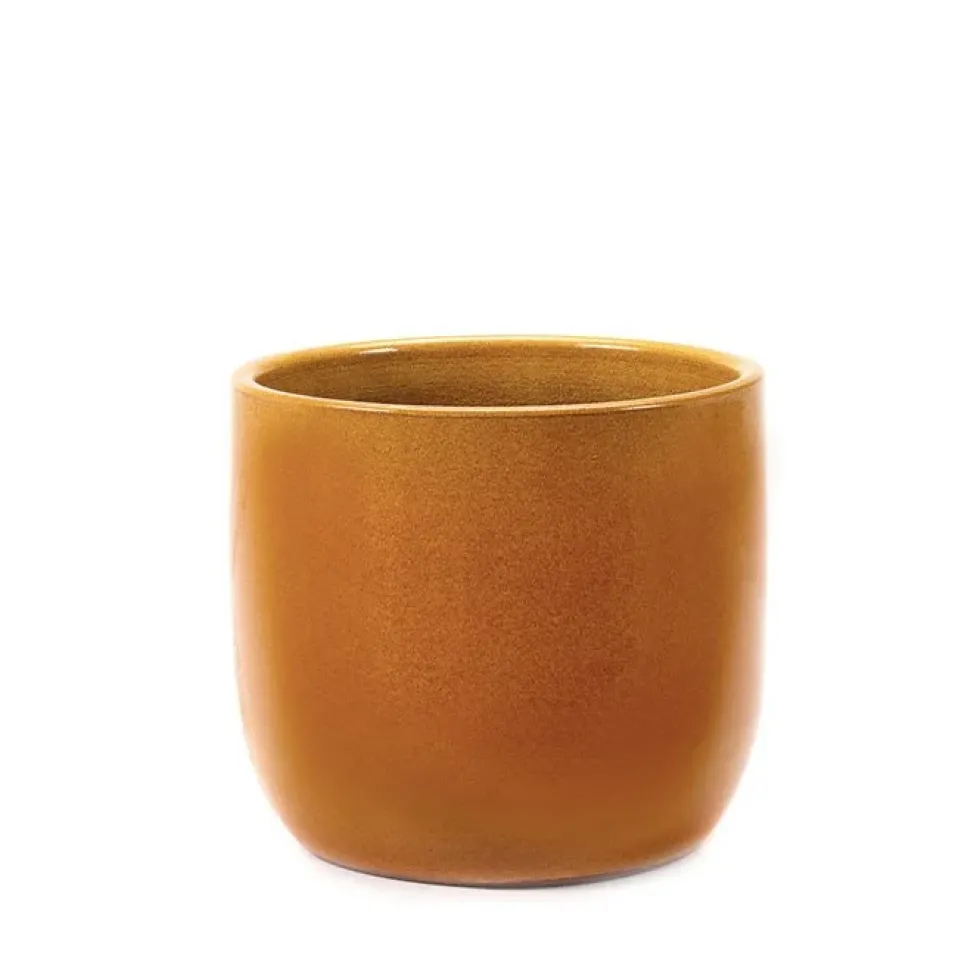 Pot Honey S
