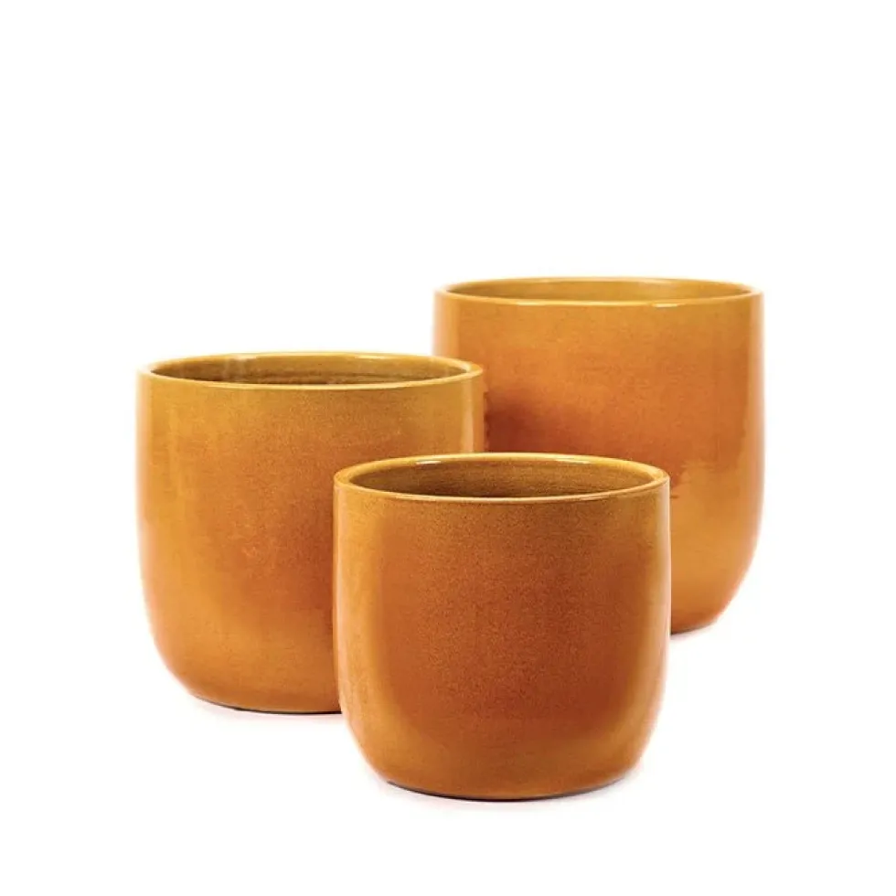 Pot Honey S