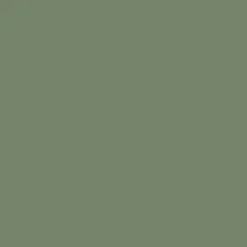 Power Beam 2 Meters - Mossy Green