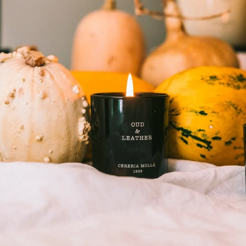 Premium Oud & Leather Candle 230g