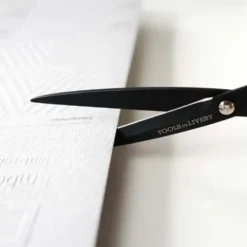 Scissors 6.5