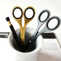 Scissors 6.5