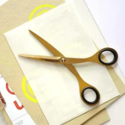 Scissors 6.5