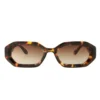 Sunglasses Billie Concha