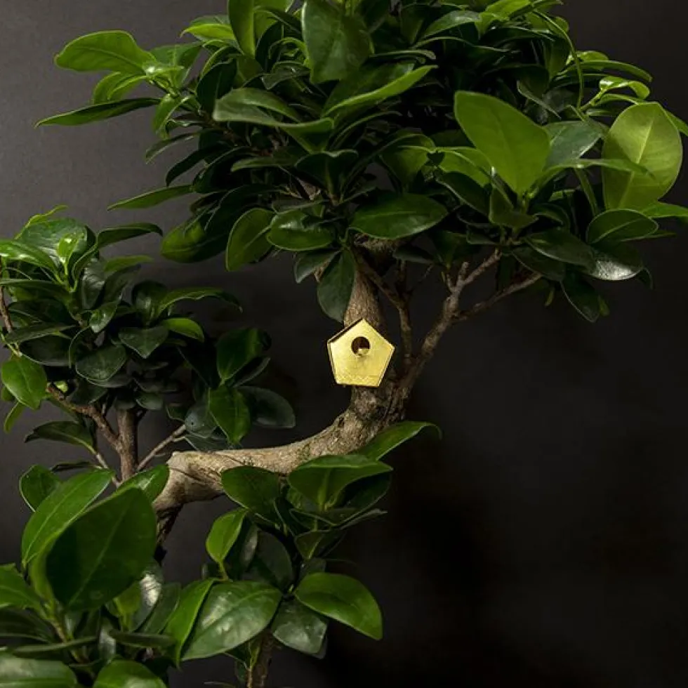 Tiny Birdhouse For Your Plants