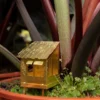 Tiny Treehouse For Your Plants