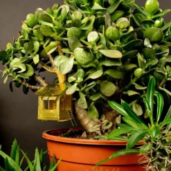 Tiny Treehouse For Your Plants