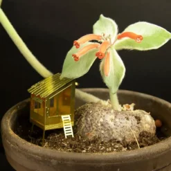Tiny Treehouse For Your Plants
