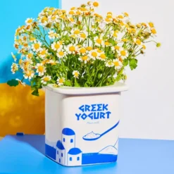 Vase Yoghurt Greek