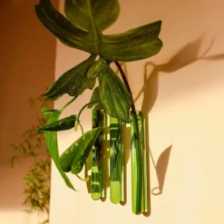 Walleaf Green (set of 3)