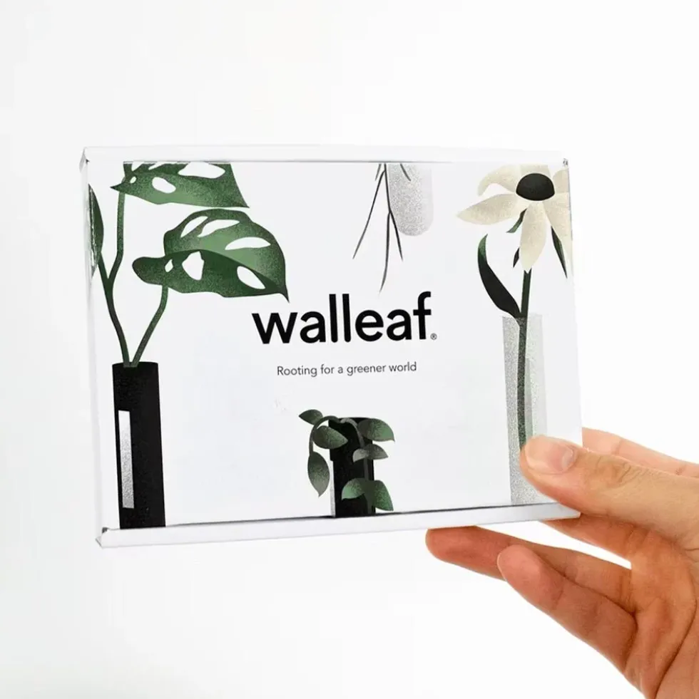 Walleaf Green (set of 3)